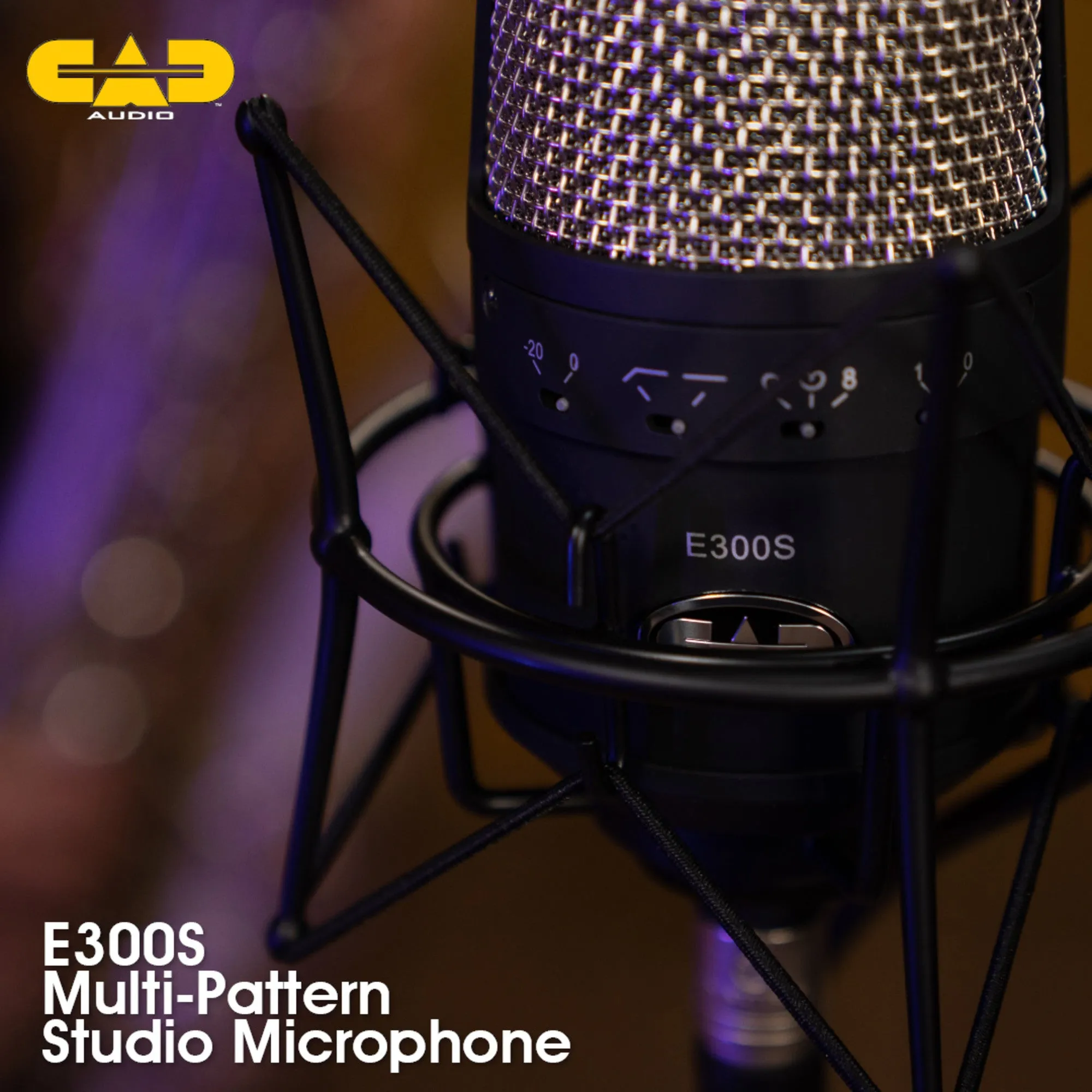 CAD Audio E300S Equitek Large Diaphragm Multipattern Condenser Microphone